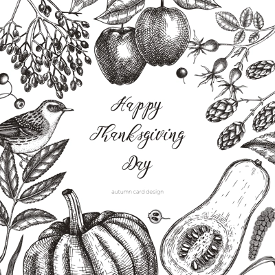 Sketched autumn card design. Vintage botanical frame with autumn leaves, pumpkins, berries, bird drawings. Fall plants invitation or banner vector template. Thanksgiving day sketched illustration.